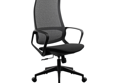 Fotoliu Birou Ted Black