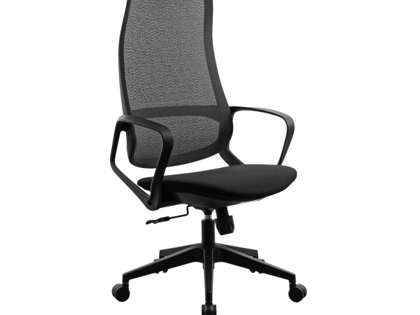 Fotoliu Birou Ted Black