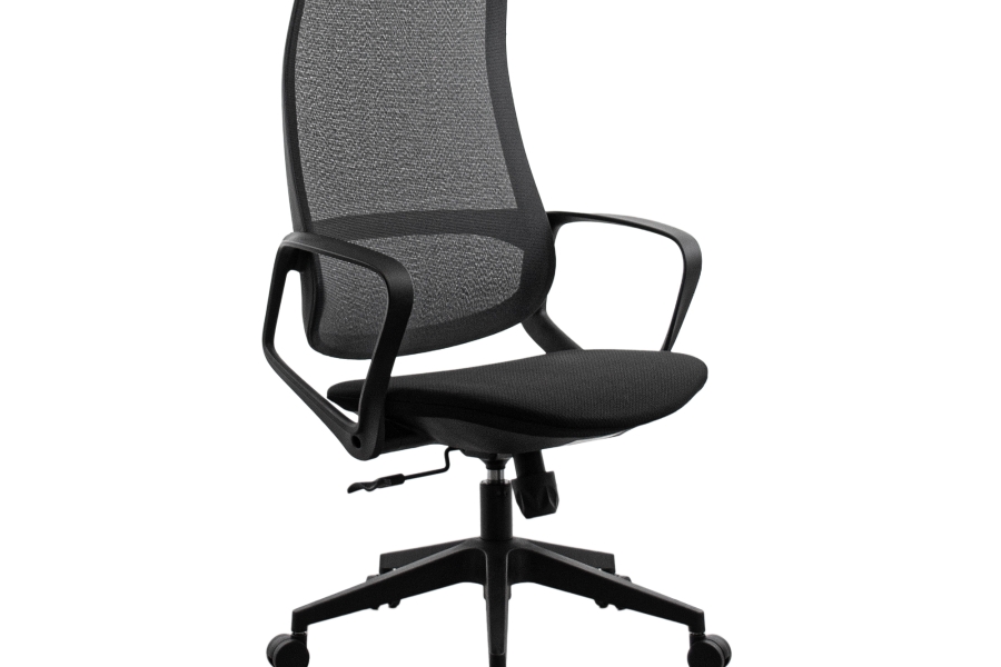 Fotoliu Birou Ted Black