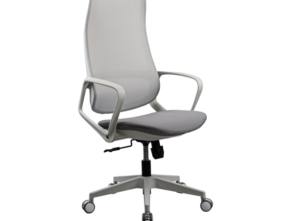 Fotoliu Birou Ted Grey