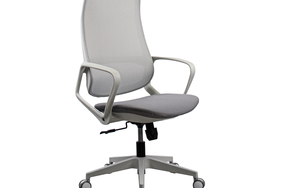 Fotoliu Birou Ted Grey